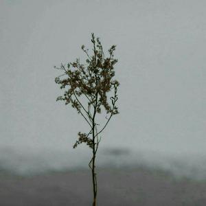 亚洲一区二区三区爆乳四虎
